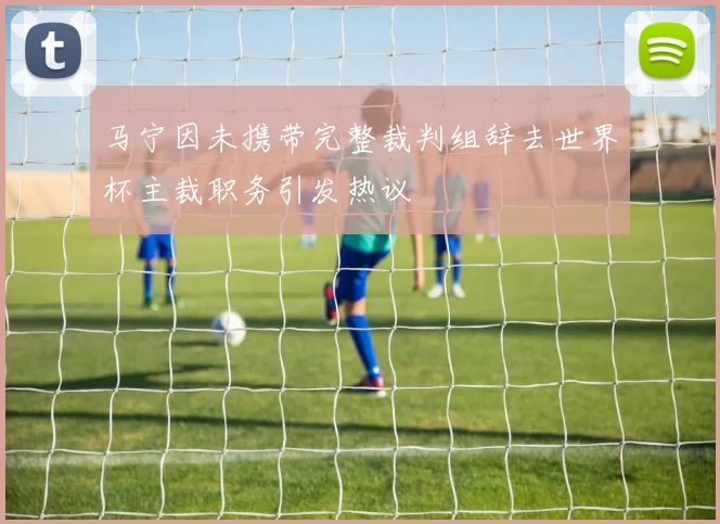 马宁因未携带完整裁判组辞去世界杯主裁职务引发热议